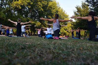 Groupe de yoga en pleine nature