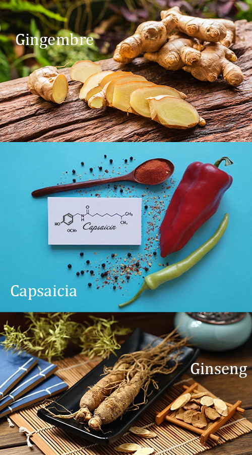 Composant du patch quantique : gingembre - capsaicine - ginseng